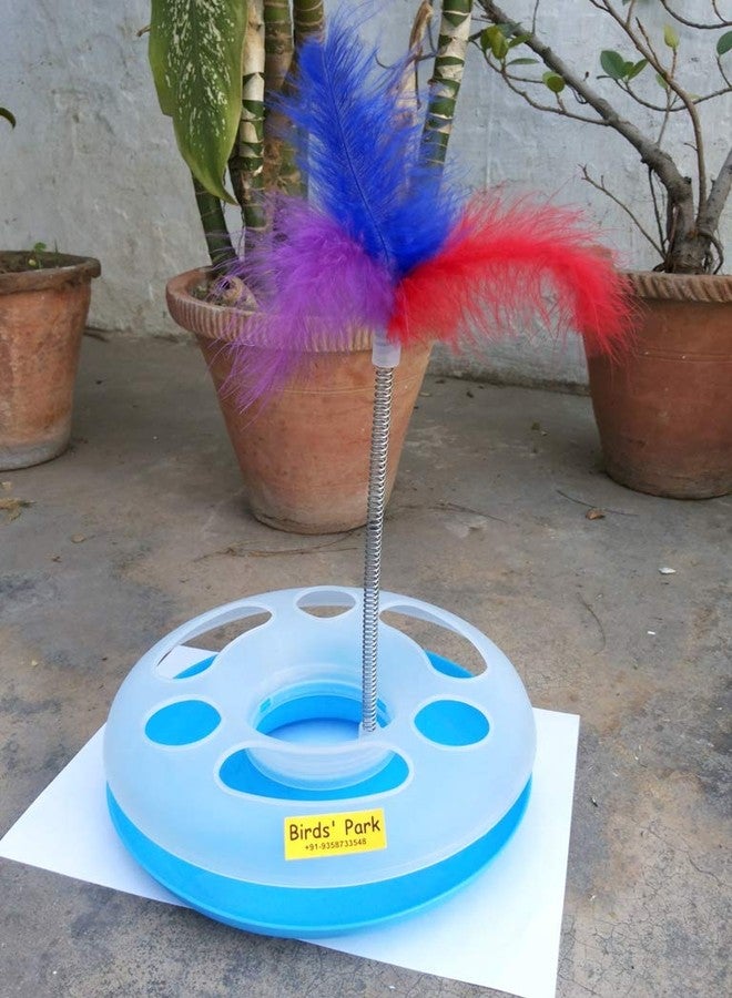 Cat Toys Imported with Coloured Feather Good for cat for Fun & Play